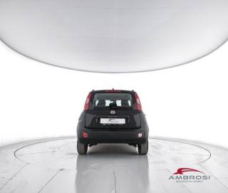 FIAT Panda usata 5