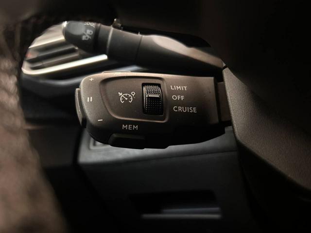 PEUGEOT 3008 usata, con Servosterzo
