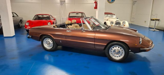 ALFA ROMEO Spider usata 39