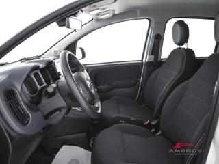 FIAT Panda usata 8