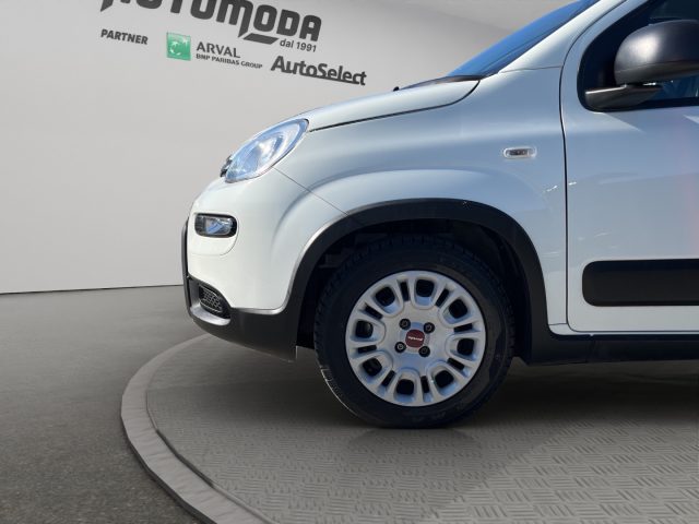 FIAT Panda usata 18