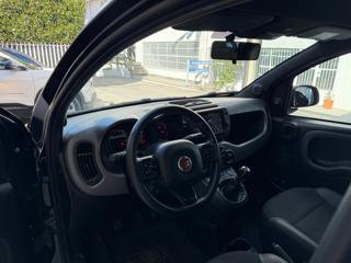 FIAT Panda usata 34