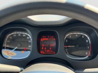 FIAT Panda usata 14