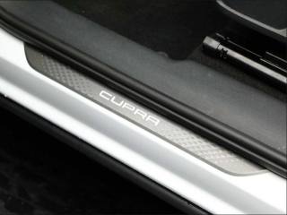 CUPRA Terramar usata, con Sedili sportivi