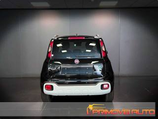 FIAT Panda usata, con Controllo trazione