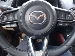 MAZDA CX-3 usata, con Fendinebbia