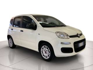 FIAT Panda Panda 1.0 firefly hybrid s