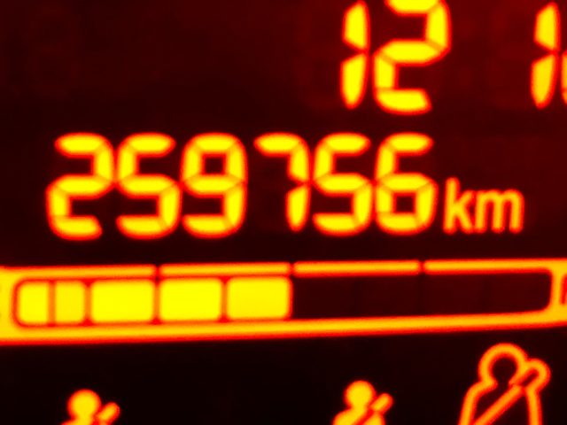 FIAT Panda usata 12