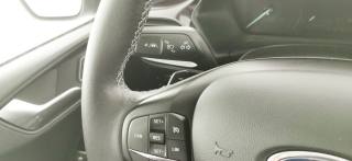 FORD Fiesta usata, con Bracciolo