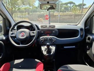 FIAT Panda usata 6
