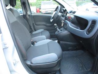 FIAT Panda usata 14