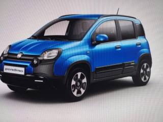 FIAT Panda Cross usata, con Antifurto