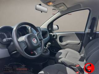 FIAT Panda usata, con Immobilizzatore elettronico
