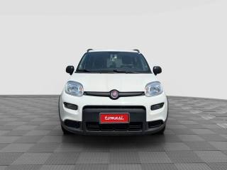 FIAT Panda usata 6
