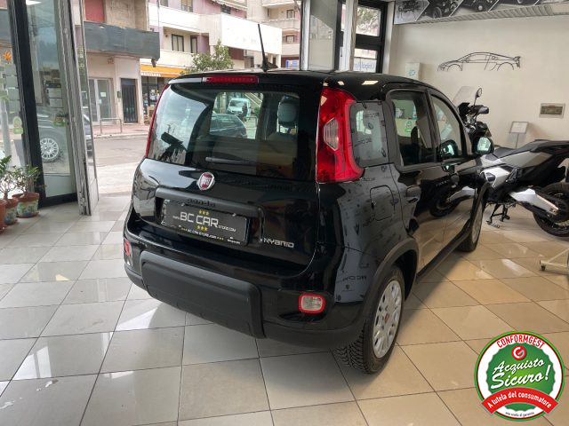 FIAT Panda usata, con Alzacristalli elettrici