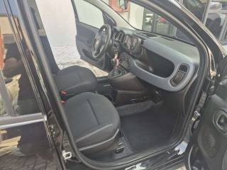 FIAT Panda usata, con Immobilizzatore elettronico