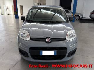 FIAT Panda usata, con Airbag testa