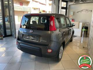 FIAT Panda usata, con Vivavoce