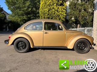 VOLKSWAGEN Maggiolone usata 10
