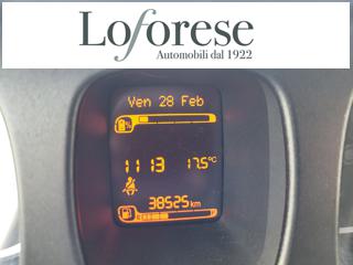 FIAT Panda usata 15