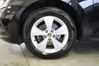 SKODA Octavia usata, con Volante in pelle