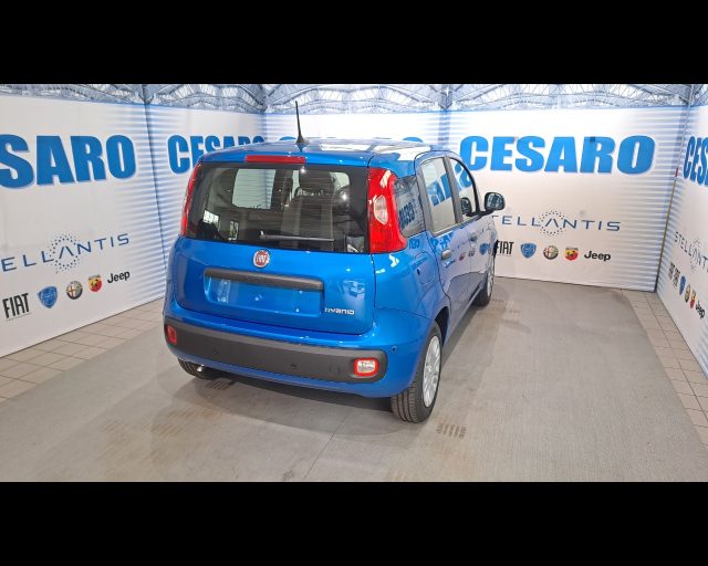 FIAT Pandina usata, con Airbag Passeggero
