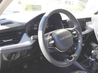 SKODA Scala usata, con Cruise Control