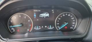FORD EcoSport usata, con Controllo trazione