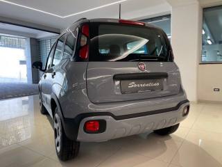 FIAT Panda usata, con Antifurto