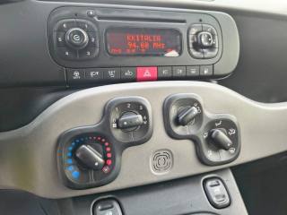 FIAT Panda usata, con Cronologia tagliandi