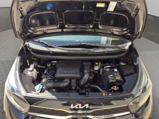 KIA Picanto usata 24