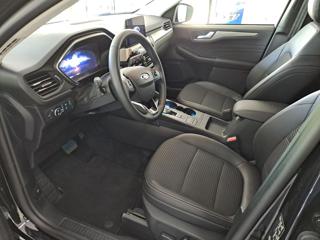 FORD Kuga usata, con Interni in pelle
