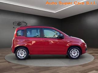 FIAT Panda usata, con Climatizzatore