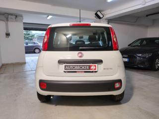FIAT Panda usata, con Antifurto