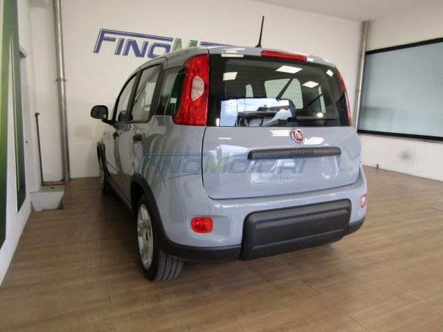 FIAT Panda usata, con Controllo trazione