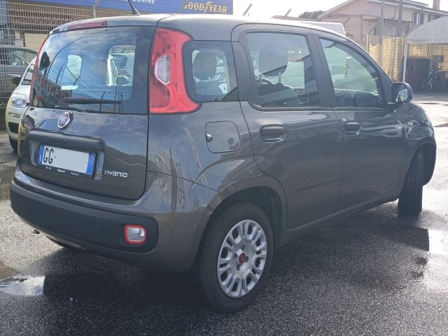 FIAT Panda usata, con Controllo trazione