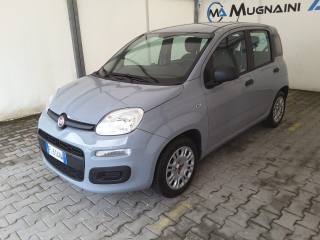FIAT Panda usata, con Airbag Passeggero