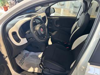 FIAT Panda usata, con Cruise Control