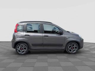 FIAT Panda usata 5