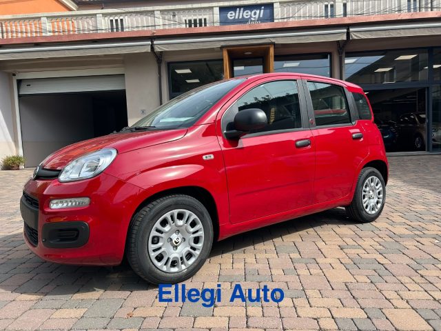 FIAT Pandina usata, con Bracciolo