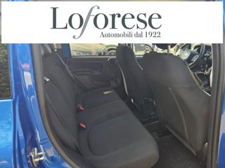 FIAT Panda Cross usata, con Controllo trazione