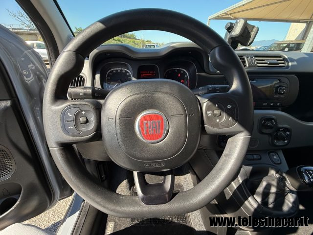 FIAT Panda Cross usata, con Airbag testa