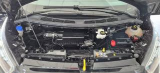 FORD Tourneo Custom usata 50