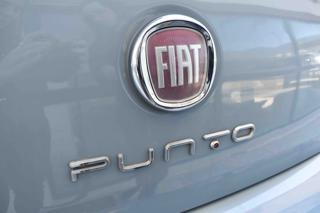 FIAT Punto usata 13