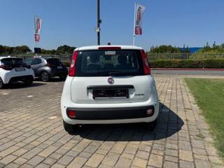 FIAT Panda usata, con Antifurto