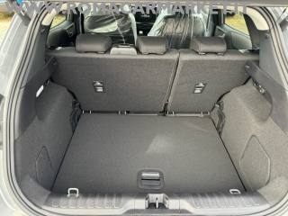 FORD Puma usata, con Bracciolo