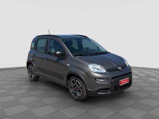 FIAT Panda usata 6