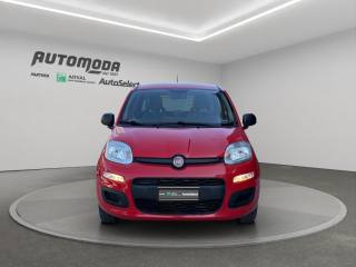 FIAT Panda usata, con Controllo trazione