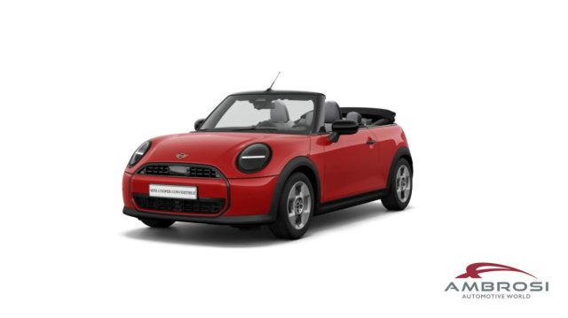 MINI Cabrio usata 0