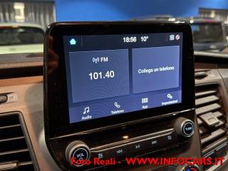 FORD Tourneo Custom usata, con Sedili riscaldati